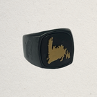 Value Bundle — 1 Ring, 3 Medallians, and 2 Lapel Pins